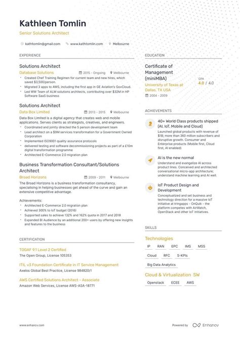 mastering  art  solution architecture resume examples