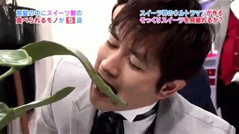 Japanese Celebs Play Game Of Candy Or Not Candy Furniture Candy Or