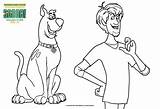 Scoob Scooby Doo Shaggy Raskrasil Fandango sketch template