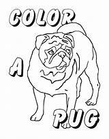 Pug Pugs Getcolorings sketch template