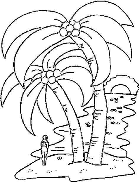 palm tree coloring pages coloringpagesabccom