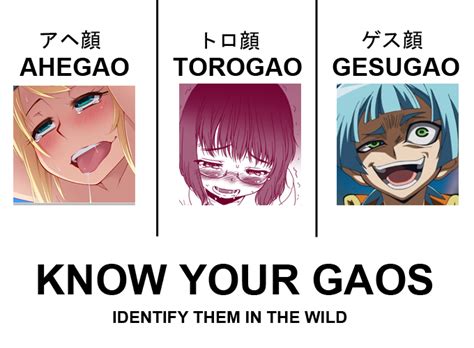 ahegao vs torogao vs gesugao ahegaokin アヘ顔菌 know your meme