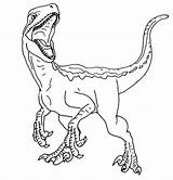 Jurassic Coloring Velociraptor Dinosaur Dinosaurios Raptor Indoraptor Dinosaurio Ausmalen Dinossauro Dinosaurs Owen Mosasaurus Colorare Coloringhome Indominus Buhos Spinosaurio Zahlen Skizzen sketch template