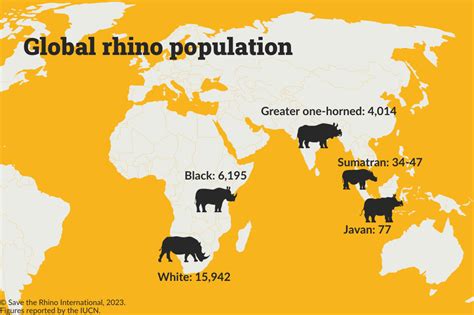 rhino ancestral chart