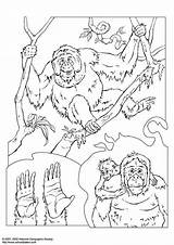 Coloring Orangutan Pages Printable Large Edupics Books sketch template
