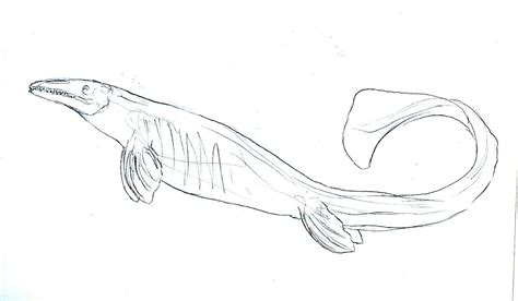mosasaurus coloring pages learny kids