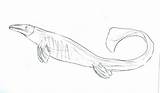 Mosasaurus Logic Whale Reptiles Prehistoric Marry sketch template