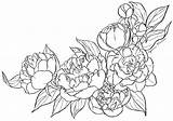 Peony Tattoo Peonies Lineart Cyen Mazzo Raskrasil Montagna Bouquet Peonia Clipartkid sketch template