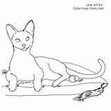 Cat Siamese Coloring Drawing Line Color Drawings Own Pages Paintingvalley Layingdown sketch template