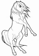 Stallion Cimarron Getcolorings Horses Impressive sketch template