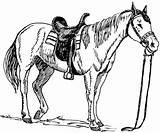 Ausmalbilder Pferde sketch template