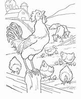 Rooster Crowing Coloringsky sketch template