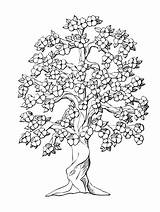 Coloring Tree Pages Oak Drawing Peach Life Inchworm Flower Adults Color Printable Colouring Adult Da Getcolorings Complicated Colorare Family Print sketch template