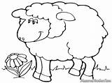 Domba Mewarnai Kambing Sketsa Anak Shaun Diwarnai Animasi Kandang Lukisan Lucu Contoh Berwarna Tk Inspirasi Ternak Kolam Tentang Timmy Gembala sketch template
