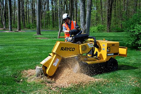 stump grinder commercial rayco rg equipment rentals  plymouth shaughnessy rentals