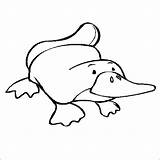 Platypus Coloring Pages Clipart sketch template
