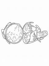 Coloring Pages Dragon Fruit Fruits Print Recommended sketch template