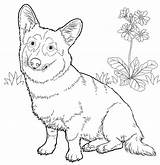 Coloring Corgi Pages Dog Welsh Pembroke Dogs Printable Color Hard Print Kids Drawing Cute Line Animals Colouring Animal Supercoloring Getdrawings sketch template