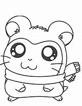 Coloring Hamster Pages Cute Popular sketch template