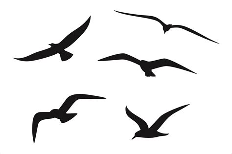 seagulls svg dxf png eps cut files illustration par fast store