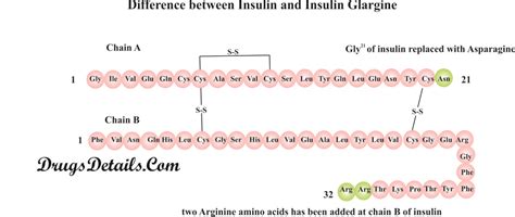 insulin glargine drug details