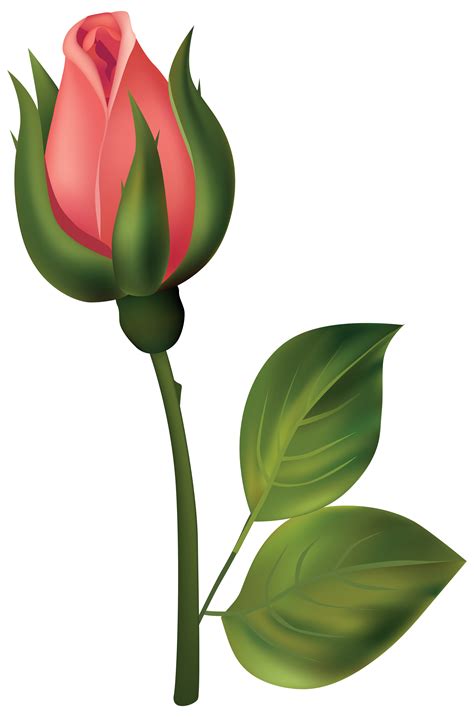 rose bud clipart    clipartmag