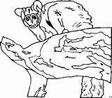 Kleiner Affe Ast Malvorlage sketch template
