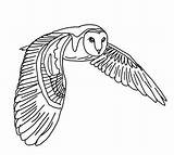 Lechuzas Lechuza Tawny Pintar Coruja Clipartmag Owls sketch template