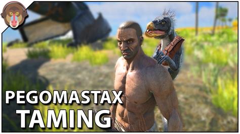 ark survival evolved how to tame a pegomastax ark update 253 youtube