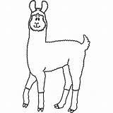 Llama Alpaca sketch template