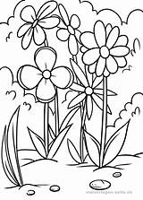 Blumenwiese Malvorlage Ausmalbilder Meadow Ausmalbild sketch template