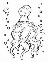 Pulpo Mewarnai Hewan Sketsa Binatang Gurita Poulpe Octopus Animais Datas Comemorativas Hellokids Grognon Raros Tk Anak Coloriage Colorier Marinos Marimewarnai sketch template