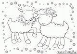 Coloring Sheep Goats Lambs Elegant Pages Lamb sketch template