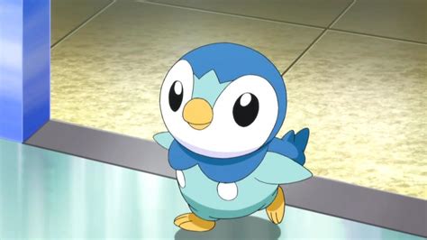 fun  interesting facts  piplup  pokemon tons  facts