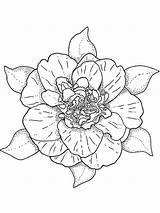 Camellia Flower Coloring Pages Flowers Printable sketch template