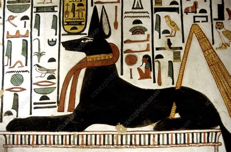 Ancient Egyptian God Anubis Stock Image E905 0395