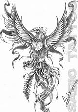 Phoenix Tattoos Tattoo Bird Tribal Japanese Choose Board Price sketch template