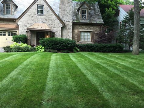 weekly lawn  landscape maintenance  seasons landscaping