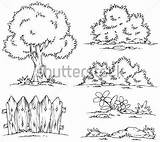 Arbustos Para Colorear Arbusto Dibujo Dibujos Plantas Coloring Childrencoloring Guardado Desde Actividades sketch template