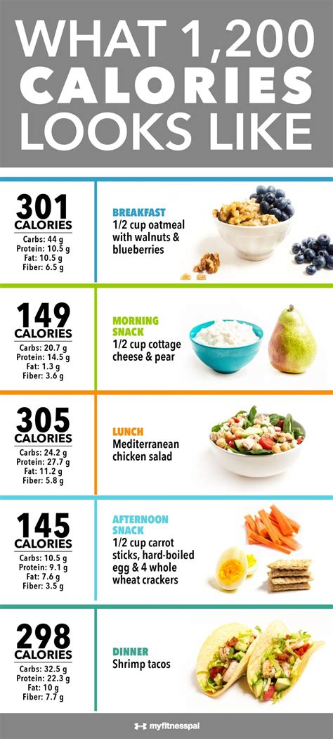 calorie high protein meal plan