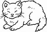 Fat Cat Cute Coloring Pages Drawing Getdrawings sketch template