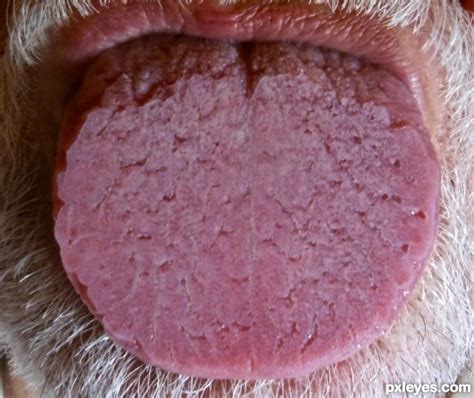 tongue closeup photography contest 20241 pictures page