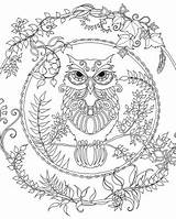 Owl Enchanted Mandala Adults sketch template