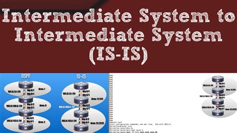 intermediate system  intermediate system   routing protocol fundamentals