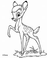 Faon Biche Colorier Bambi sketch template