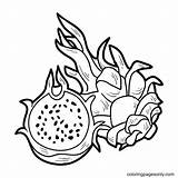 Frutas Dragonfruit sketch template