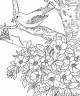 Colorkid Goldfinch Eastern sketch template