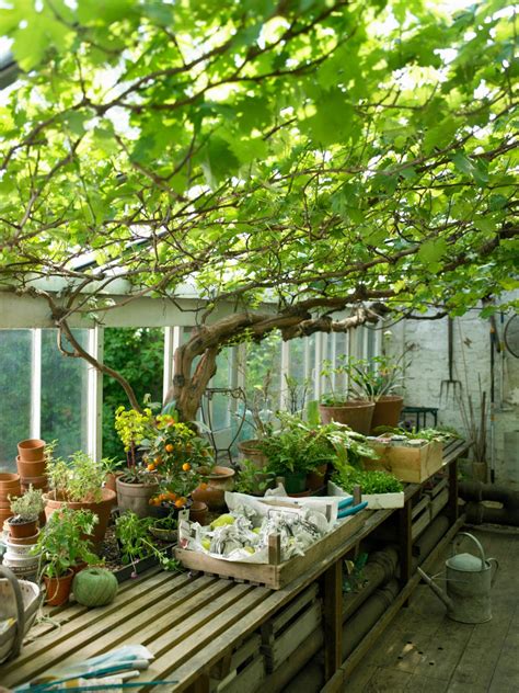 water  lighting   greenhouse hgtv