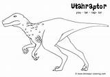 Velociraptor Coloring Pages Blue Jay Getdrawings Printable Getcolorings sketch template