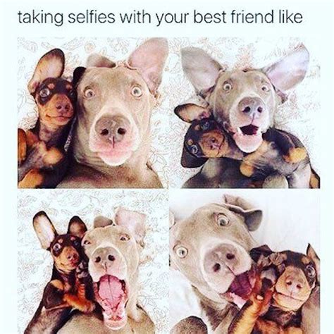 29 Bff Memes To Share With Your Bestie On National Best Friend Day